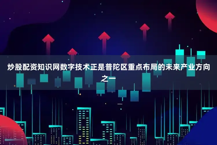 炒股配资知识网数字技术正是普陀区重点布局的未来产业方向之一