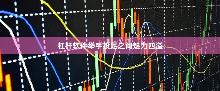 杠杆软件举手投足之间魅力四溢