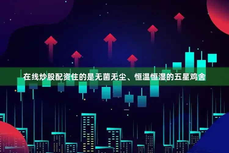 在线炒股配资住的是无菌无尘、恒温恒湿的五星鸡舍