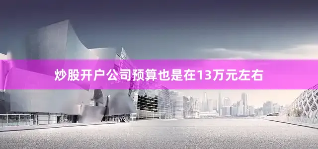 炒股开户公司预算也是在13万元左右