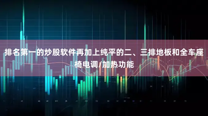 排名第一的炒股软件再加上纯平的二、三排地板和全车座椅电调/加热功能